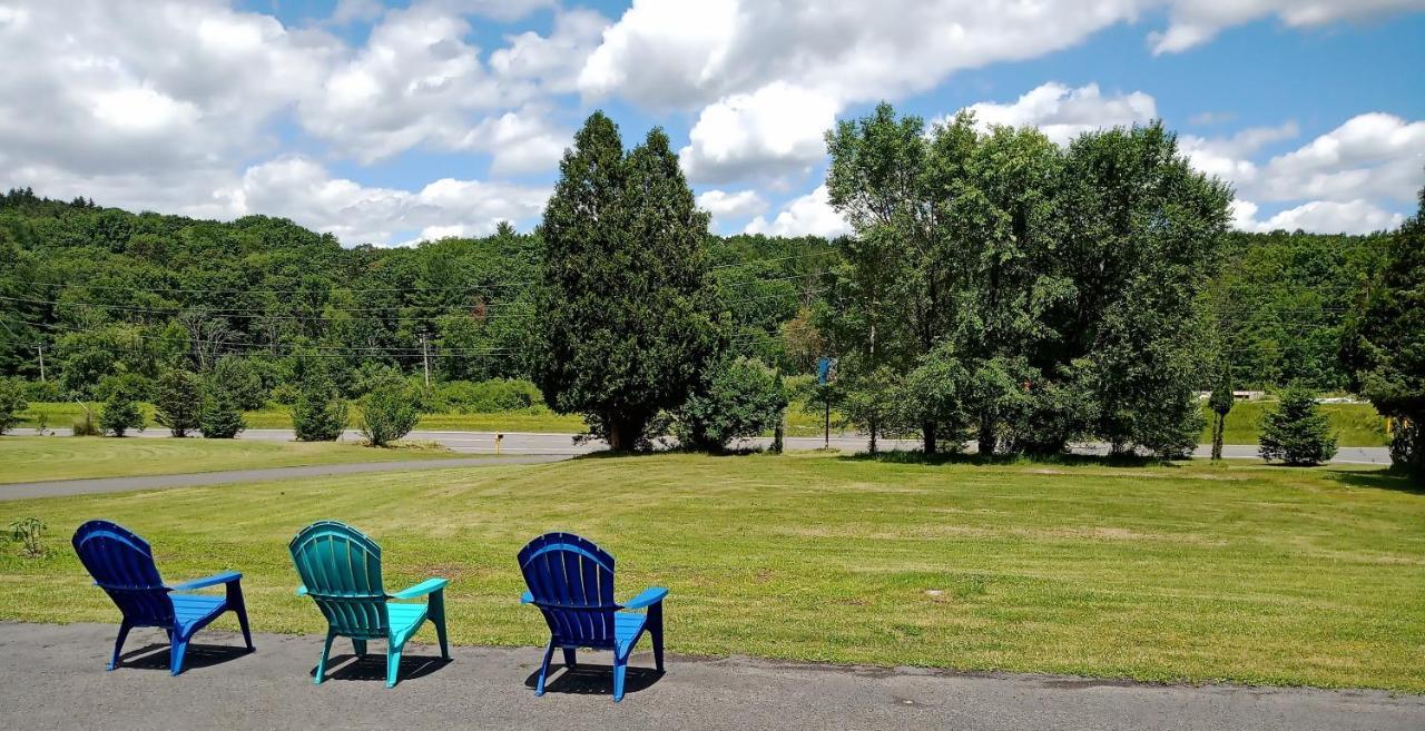 Motel Elm Tree