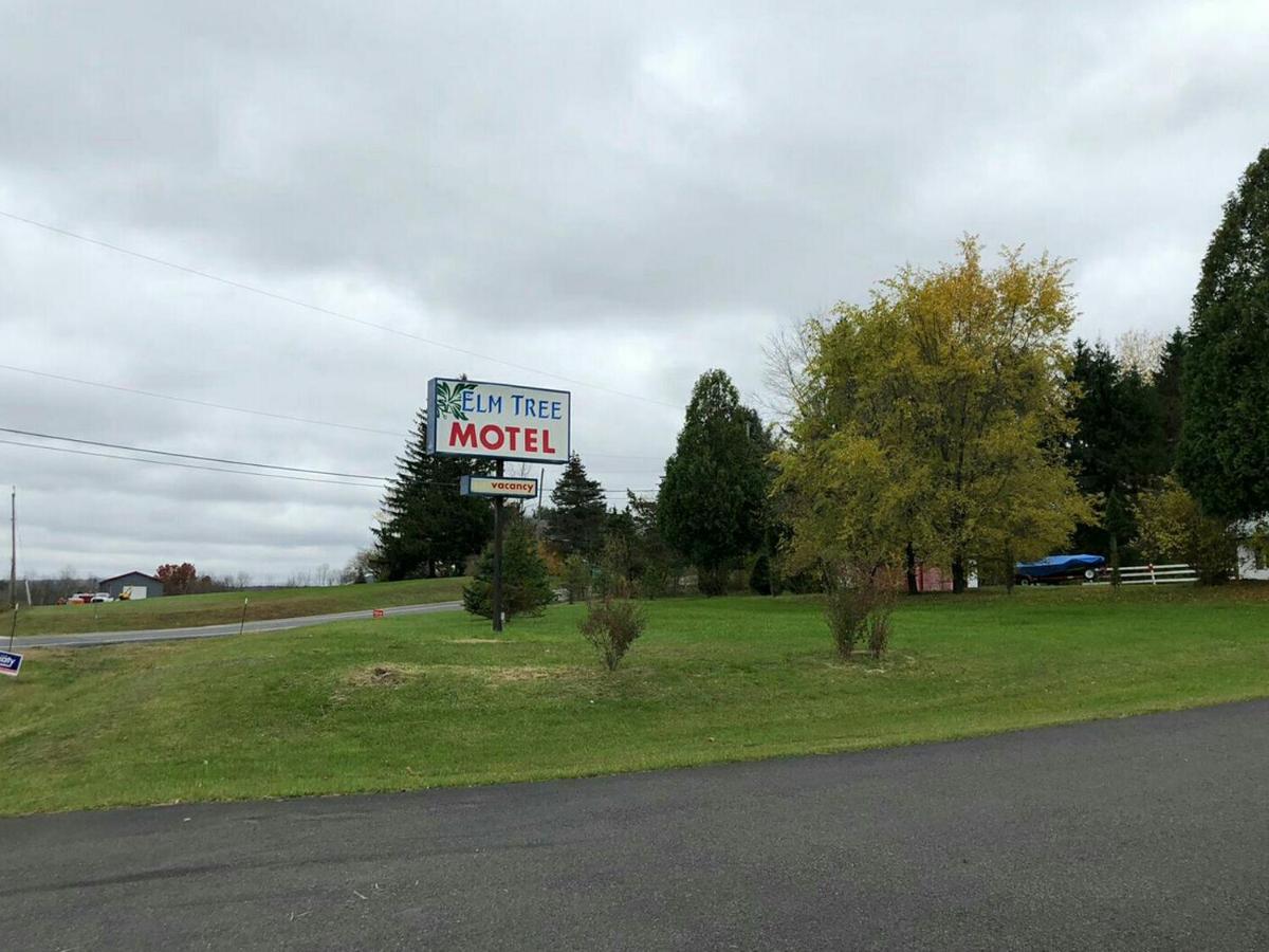 Elm Tree Craryville